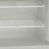 Baltais galda saldētājs ar 1 stikla durvīm - 48L TEFCOLD - Ideāli piemērots profesionāļiem!