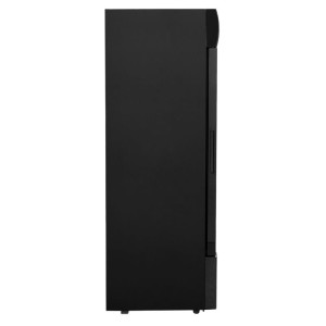 Auksto dzērienu vitrīna - 300 L - Dynasteel