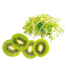 Freshness Nutrition Pack for Robot-Coupe cutter combinations