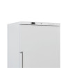 Balta ventilējama saldētavas skapis - 600 L - Dynasteel