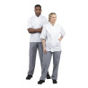 Vegas maisāmais virtuves bikses ar maziem zilbaltiem rūtiņiem - izmērs XS - Whites Chefs Clothing - Fourniresto