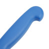 Zivju tīrīšanas nazis zils asmenis 15 cm - Hygiplas - Fourniresto