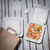 Kompostējamas Bagasse kastes 223mm - 200 gabalu komplekts, ekoloģiski atbildīgas