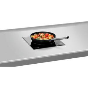 Induction Plate - 2000 W