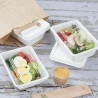 Kompostējamas bagases pārtikas paplātes 650ml - 100 gab. komplekts - Gastronoble
