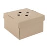 Boîtes Burger Carrées Pliantes - Lot de 100 - Fiesta Green