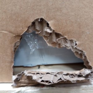 Saladette Refrigerēta Zvaigzne - 2 Durvis Ar Atveramu Jumtu