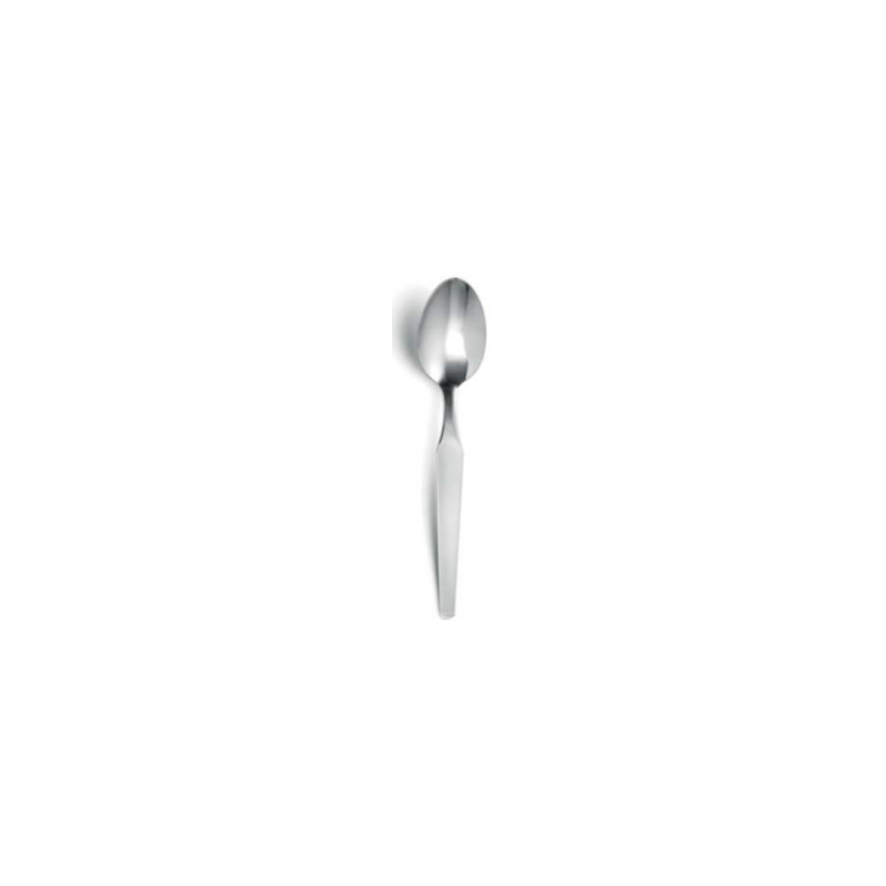 Cuillère à Café Gamme Fjord - Lot de 12 - AMEFA Cuillère à Café Gamme Fjord - Lot de 12 - AMEFA
