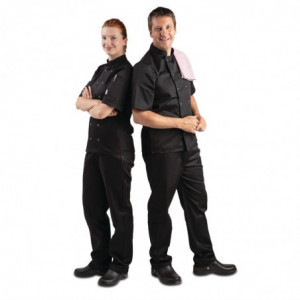 Melnas virtuves jaka ar īsām piedurknēm Vegas - XXL izmērs - Whites Chefs Clothing - Fourniresto