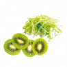 Slicer Disc Cutting Size - 5 mm Robot-Coupe For R 502 / R 502 VV / R 652 / R 652 VV